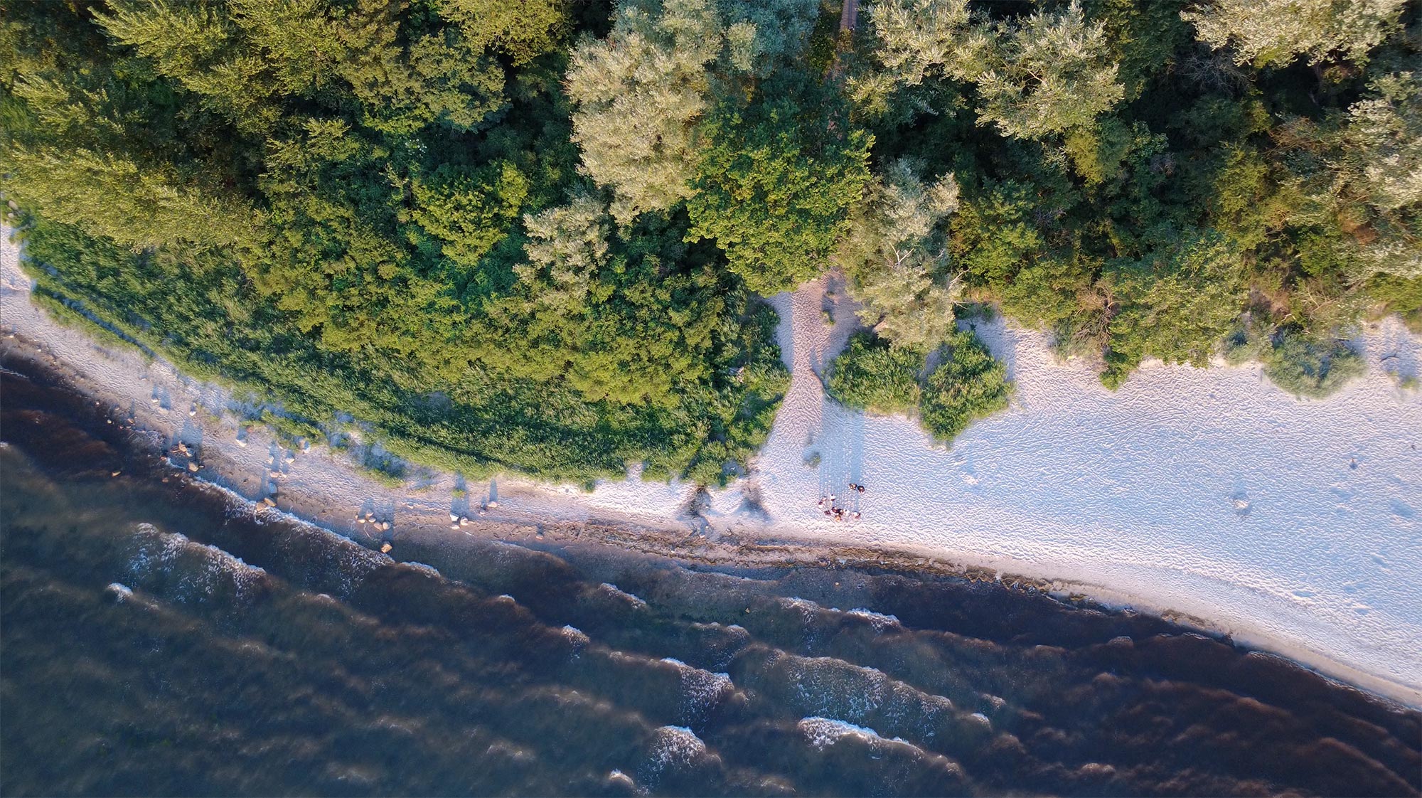 Coverbild Video Strand Rosenhagen
